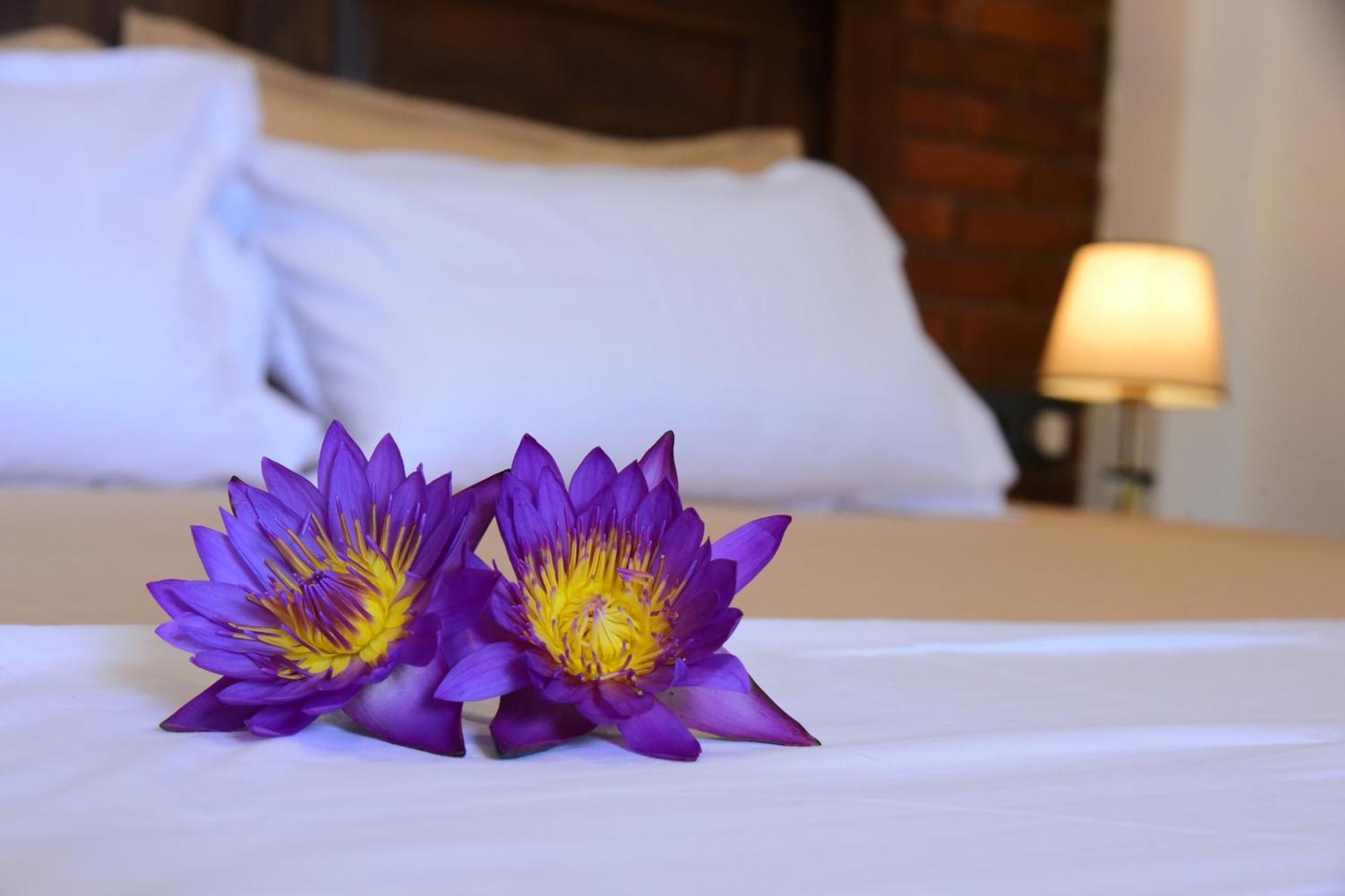 Ocean Ripples Hotel ฮิกคาดูวา ภายนอก รูปภาพ